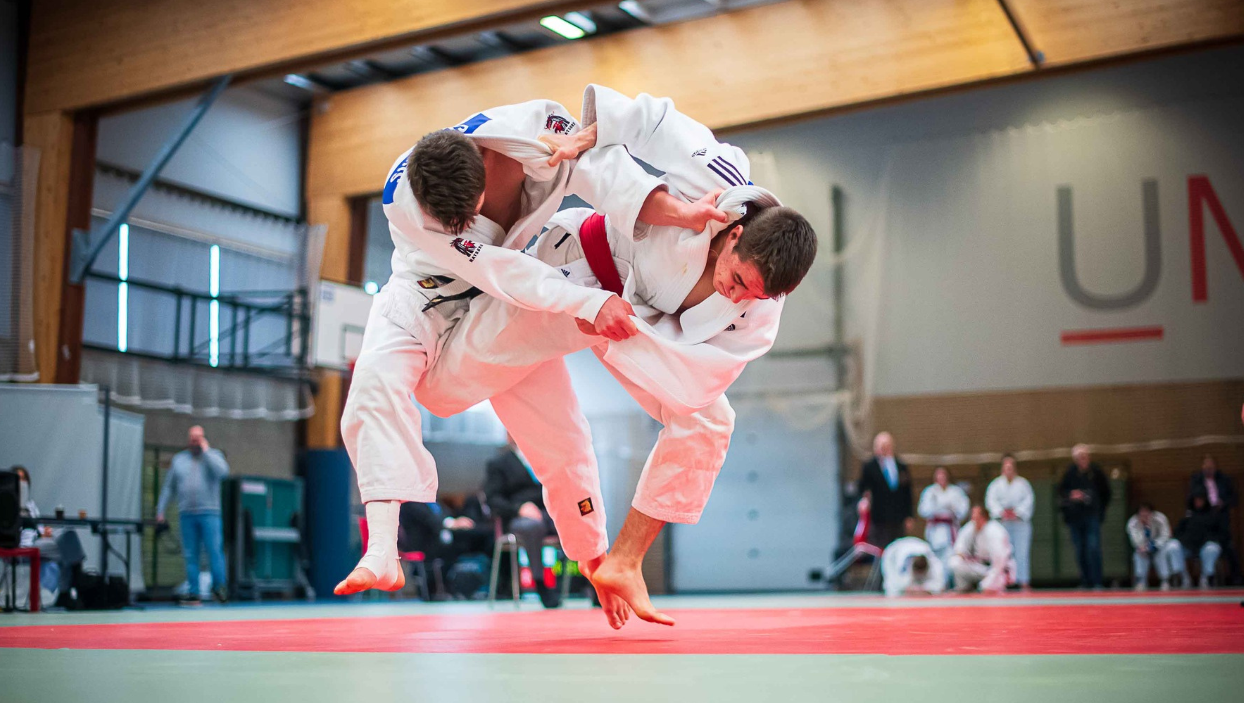 Nos Wolves du Judo au Championnat National FSUB par Équipe !