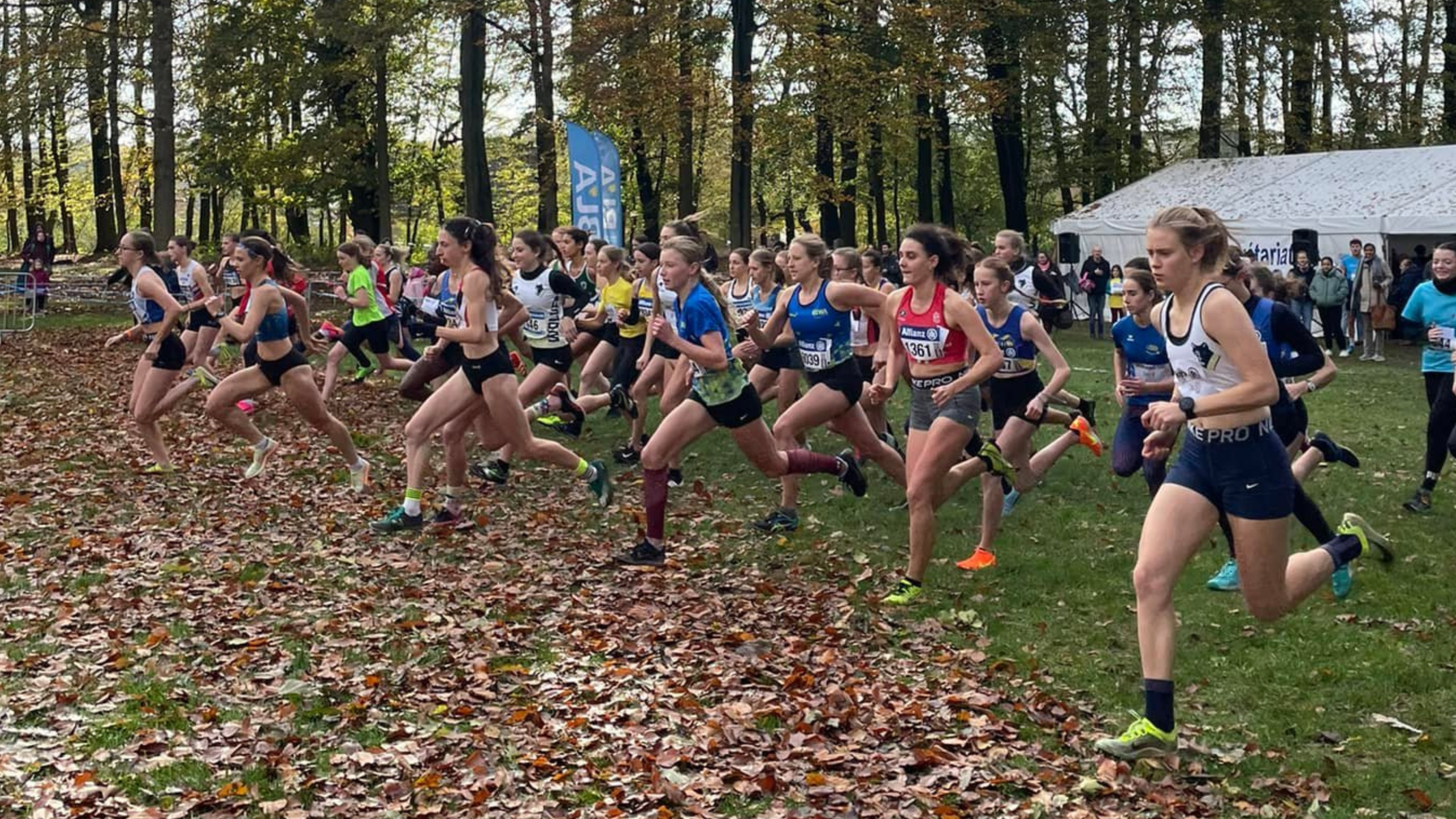 Invasion de Loups prévue à Braine ce samedi 8 novembre !