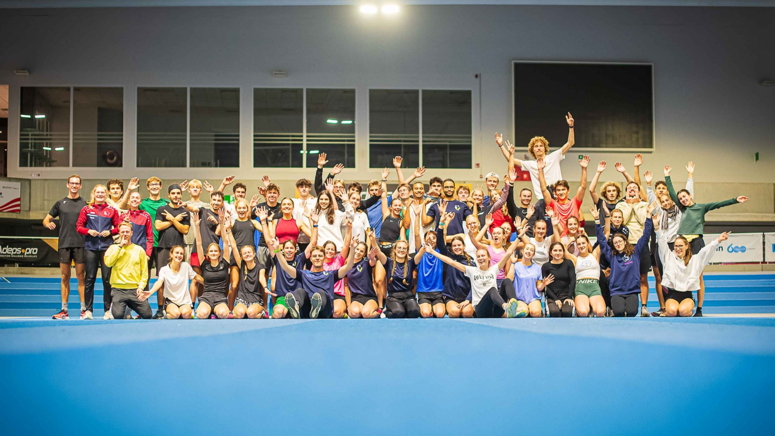 Nos loups envahissent la Flandre !